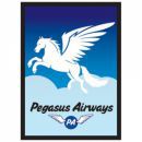 50 Pochettes Legion - Pegasus Air - ACC